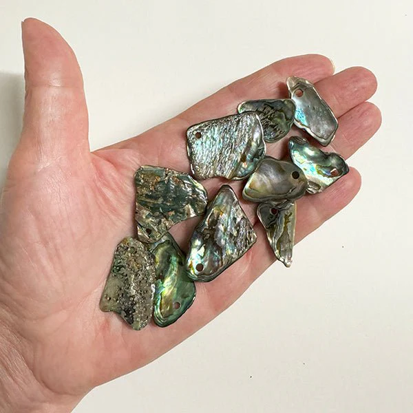 Bag of 10 Polished Paua Pieces with Hole for Cord or Wire - Image 2