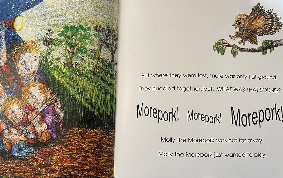 Childrens Book: Molly Morepork and the Lost Campers - Image 2