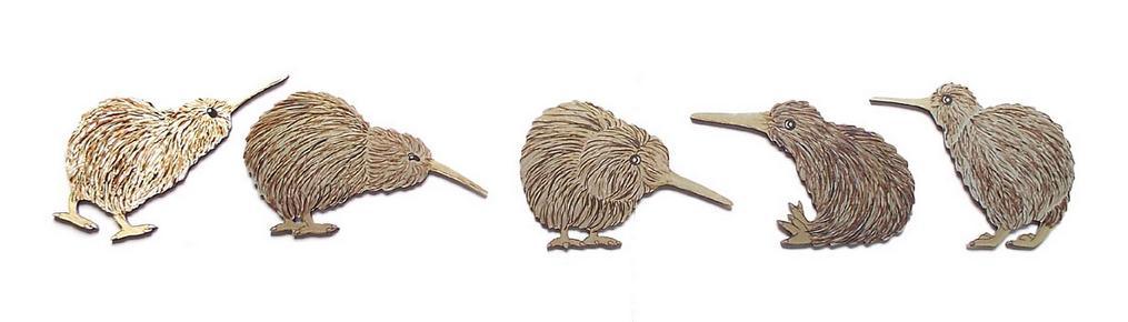 Flock of 5 Kiwi Birds Wall Art - Image 3