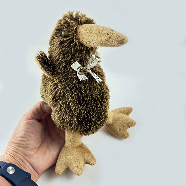 Lovely Soft and Cuddly Souvenir Kiwi Bird Plush Toy - Image 4