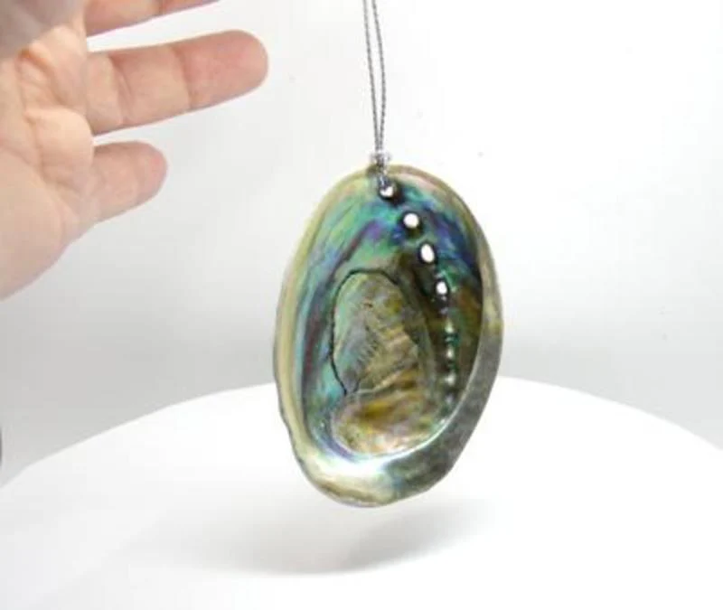 Natural Baby Paua Shell Christmas Ornament - Image 3