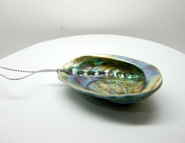 Natural Baby Paua Shell Christmas Ornament - Image 4