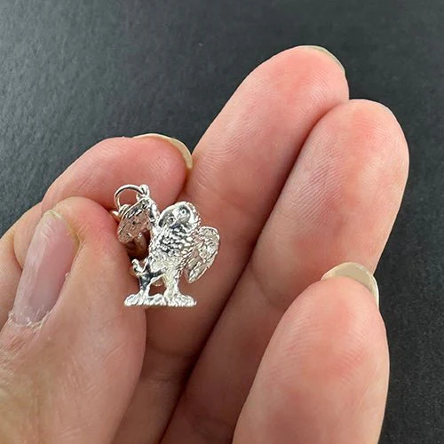 NZ Sterling Silver Kea Bird Charm