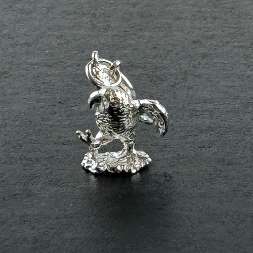 NZ Sterling Silver Kea Bird Charm - Image 5