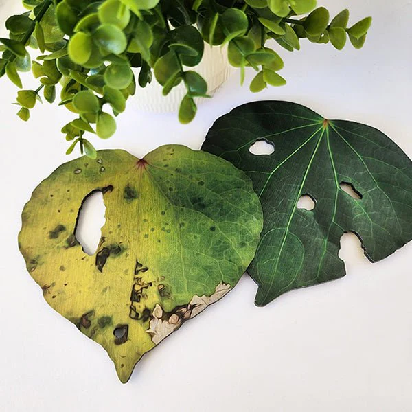 Pop Out Kawakawa Leaves Wall Art - Image 2