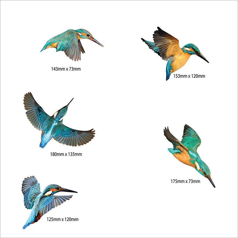 Set of 5 Flying Kingfishers Wall Art - Image 4