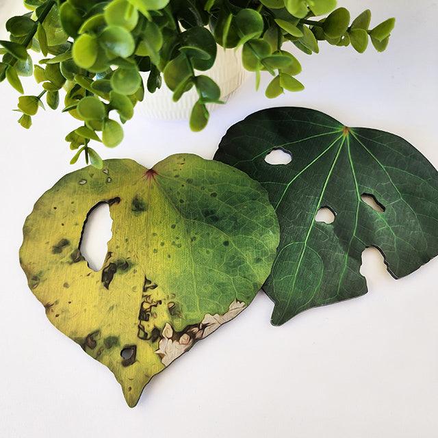 Set of 6 Kawakawa Leaves Wall Art - Image 2