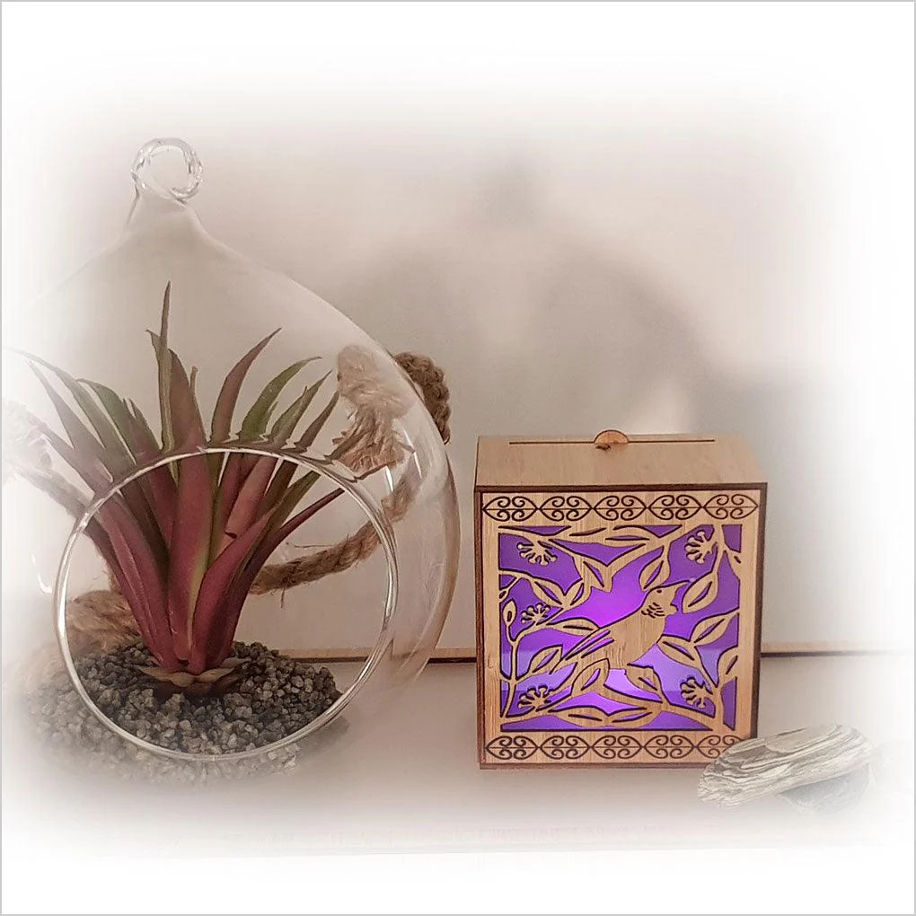 Tui on Pohutukawa LED Tealight Candle Box - Image 3